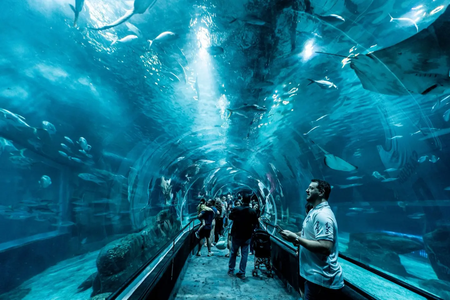 Túnel acristalado dentro de un gran acuario, con peces y rayas nadando alrededor de los visitantes